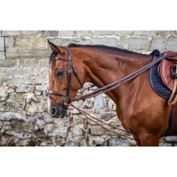 RIENDAS ALEMANAS DE CUERO Y NYLON