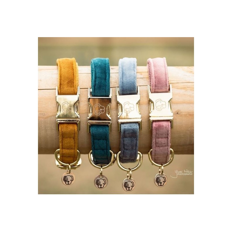 COLLAR PARA PERRO KENTUCKY