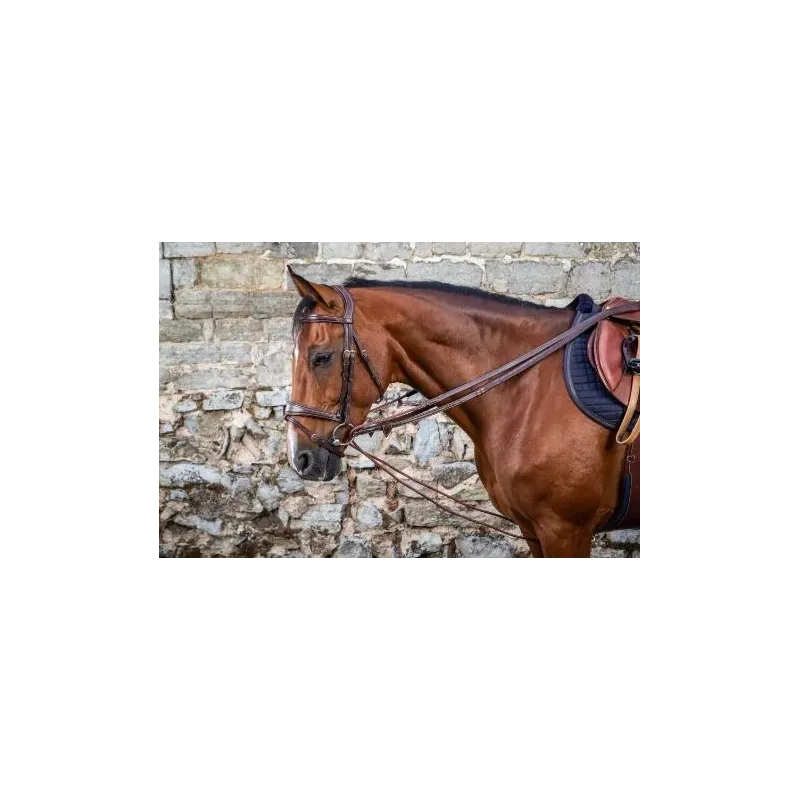 RIENDAS ALEMANAS DE CUERO Y NYLON