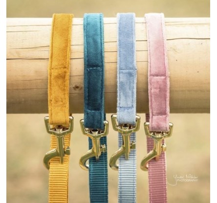42539 DOG LEAD VELVET 