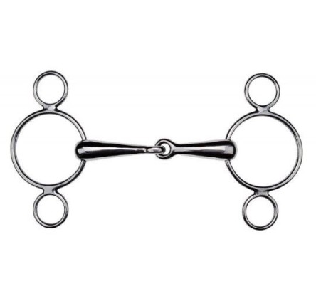 600308 REGL 3ANNX BRIS 