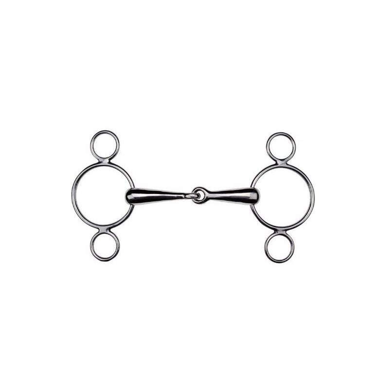 600308 REGL 3ANNX BRIS