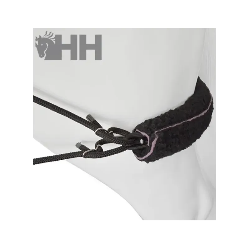 SISTEMA ENTRENAMIENTO LEXHIS TIPO PESSOA