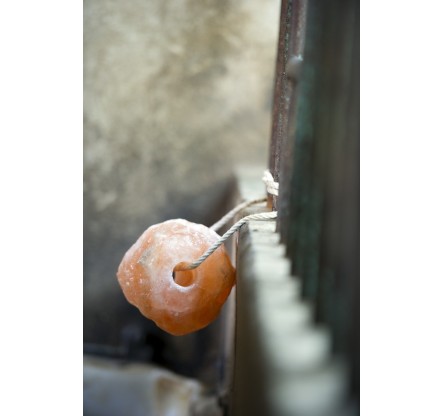 PIERRE SEL NAT HIMALAYA