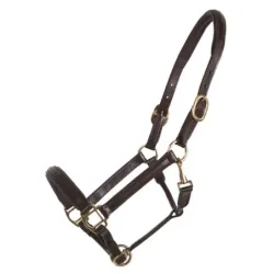 CABEZADA DE CUADRA QHP