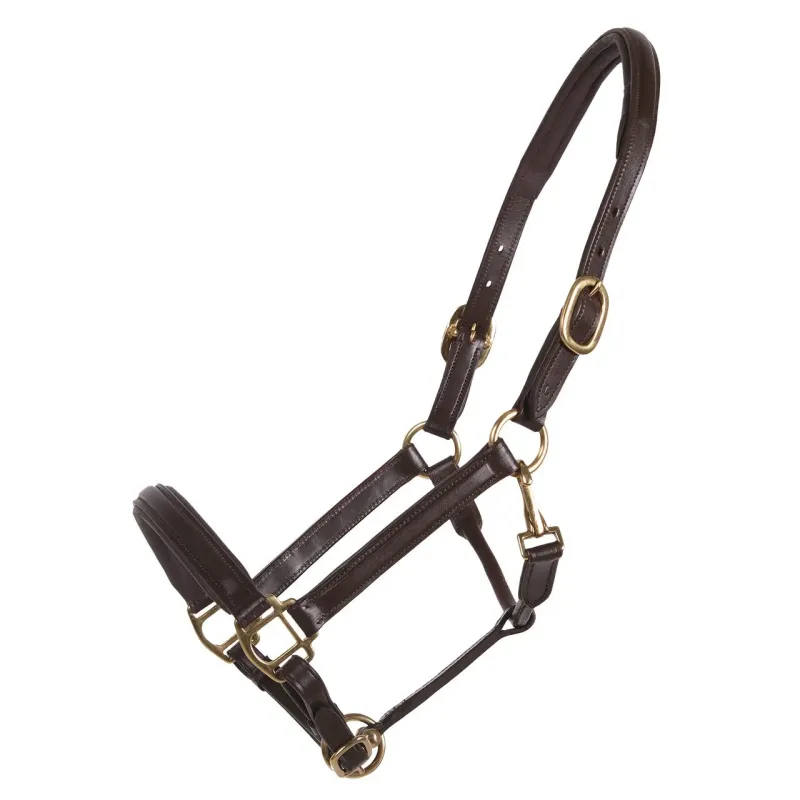 CABEZADA DE CUADRA QHP