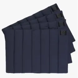 PAÑOS CAVALLERIA TOSCANA