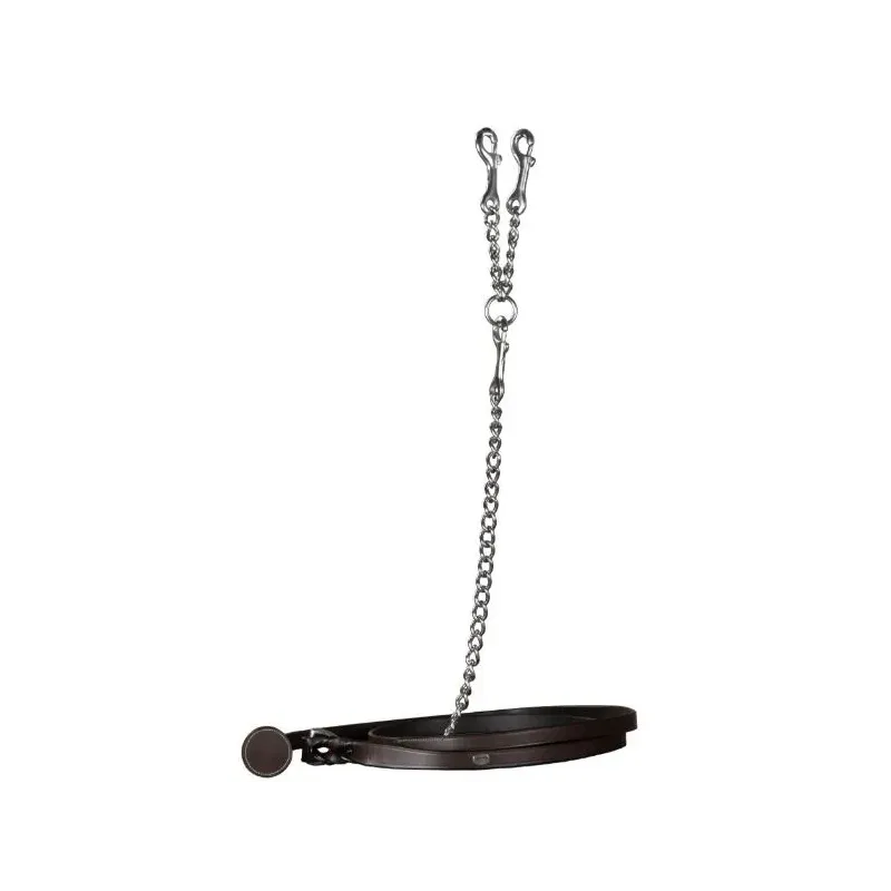 RAMAL DYON CON CADENA PARA EL MANEJO PIE A TIERRA WO10