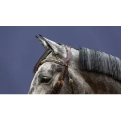 FRONTALERA DYON CON SWAROVSKY DY02F