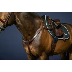 PECHOPETRAL DYON NE06C