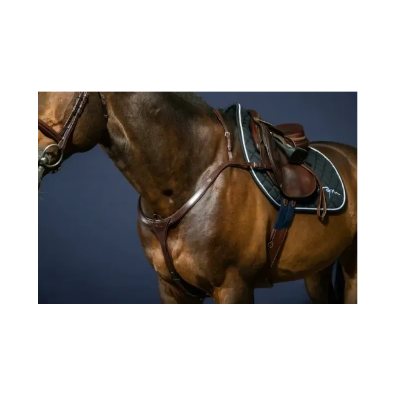 PECHOPETRAL DYON NE06C