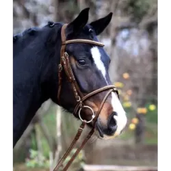 CABEZADA X-LINE SANTANDER