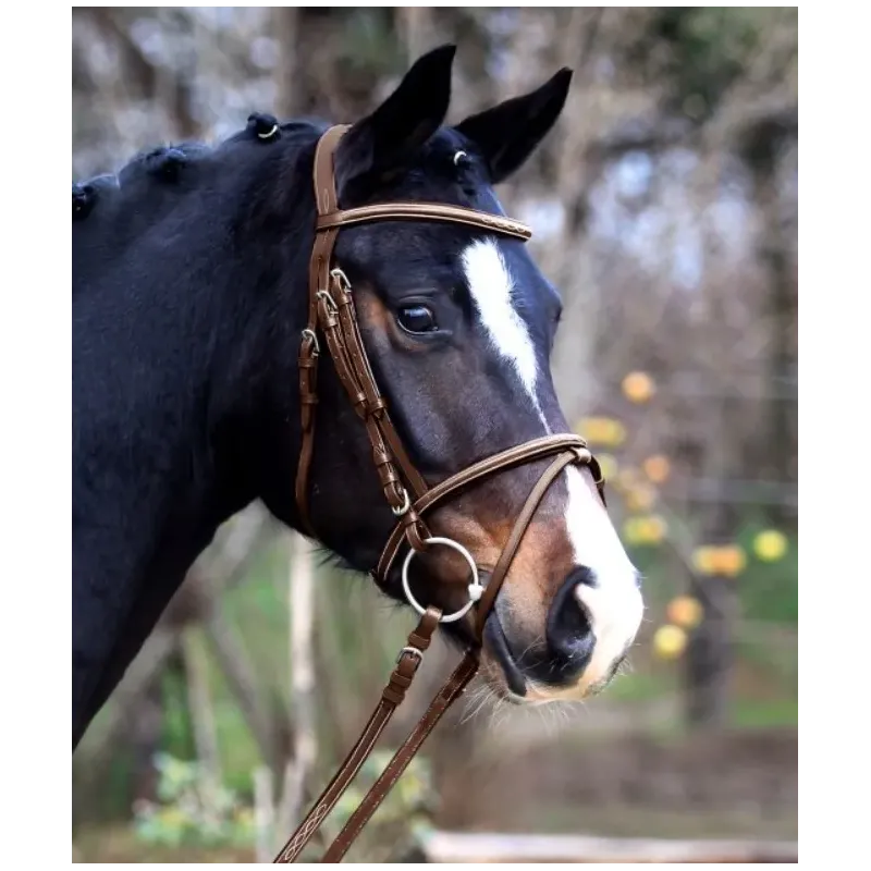 CABEZADA X-LINE SANTANDER