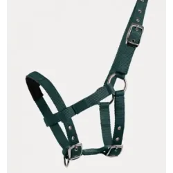 504501 MINI-SHETTY HALTER PADDED