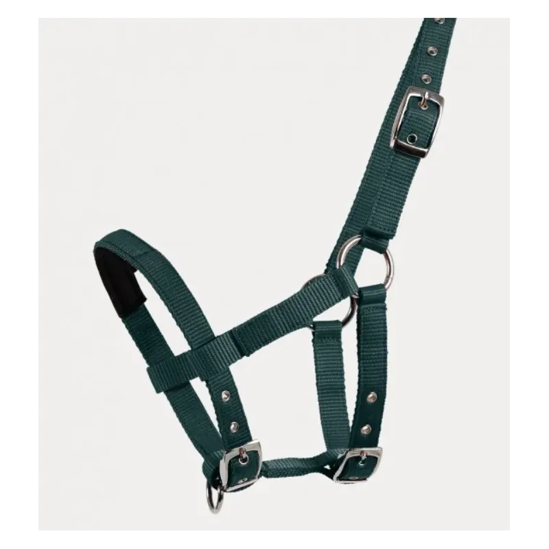 504501 MINI-SHETTY HALTER PADDED