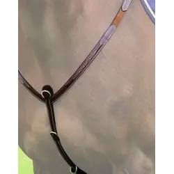 B491 HU BREASTPLATE FANCY