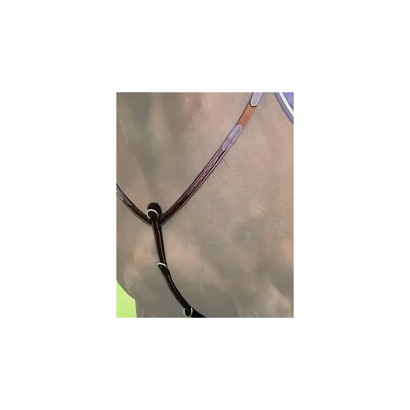 B491 HU BREASTPLATE FANCY