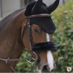 OREJERAS KENTUCKY MODELO WELLINGTON