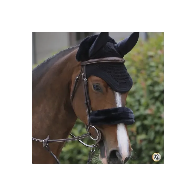 OREJERAS KENTUCKY MODELO WELLINGTON