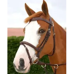 CABEZADAS DE MONTAR DYON WORKING COLLECTION