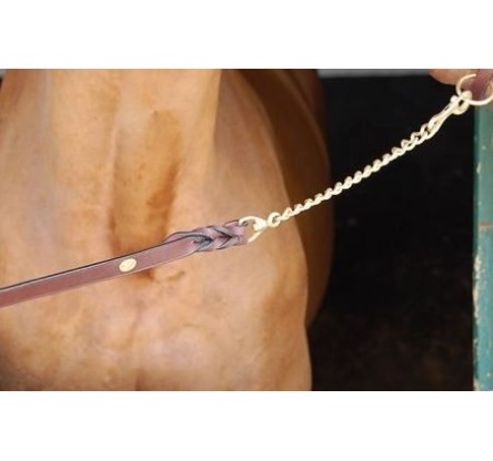 B834 GROOMING LONGE DOUBLE CHAIN