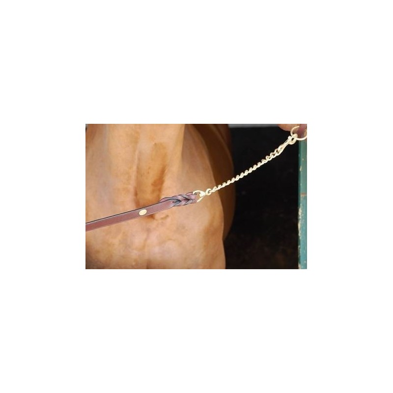 B834 GROOMING LONGE DOUBLE CHAIN