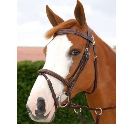 CABEZADAS DE MONTAR DYON WORKING COLLECTION