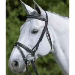 CABEZADA DE MONTAR  BRIDLE DIAMANT COMB. NOSEBAND