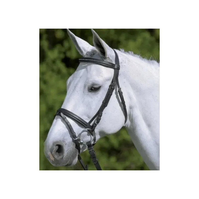 CABEZADA DE MONTAR  BRIDLE DIAMANT COMB. NOSEBAND