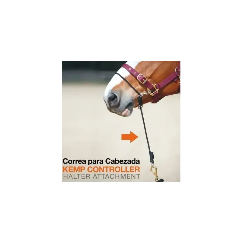 CORREA PARA CABEZADA KEMP CONTROLLER