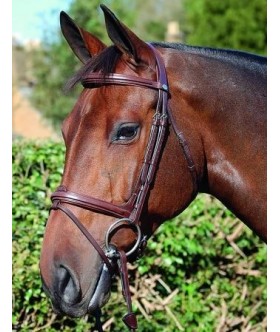 POLO CAVALLERIA TOSCANA PARA NIÑAS CAA041