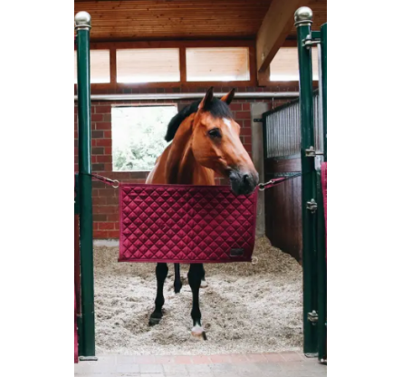STABLE GUARD KENTUCKY