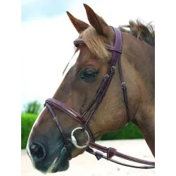 B191 WO FLASH NOSEBAND BRIDLE BR