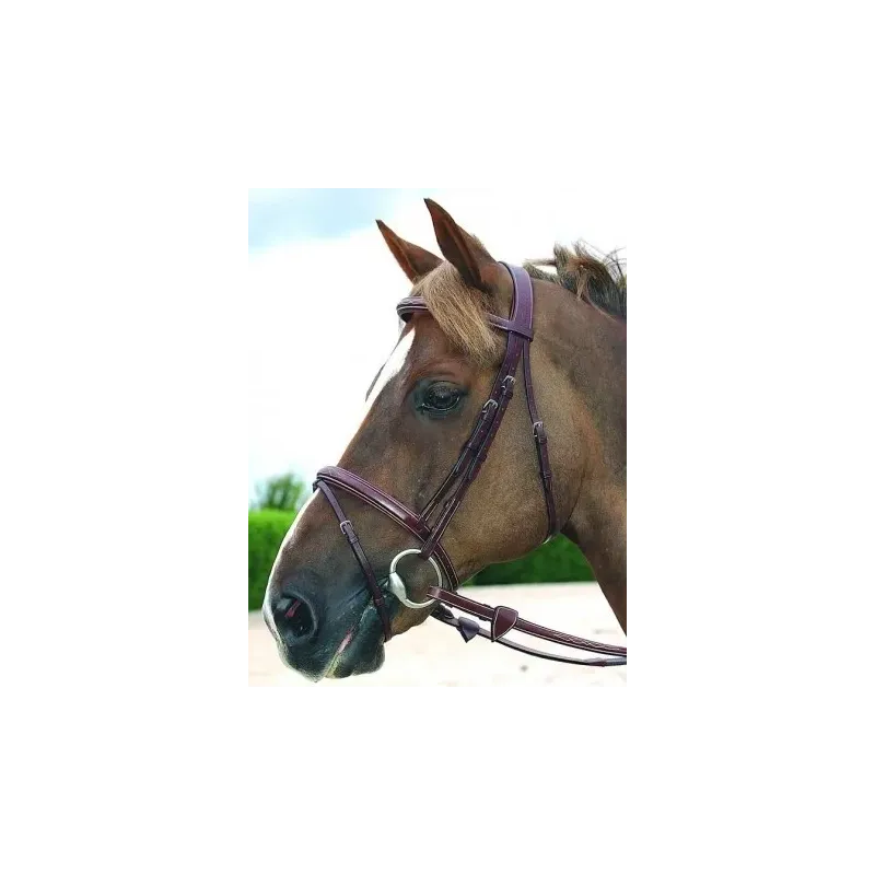 B191 WO FLASH NOSEBAND BRIDLE BR