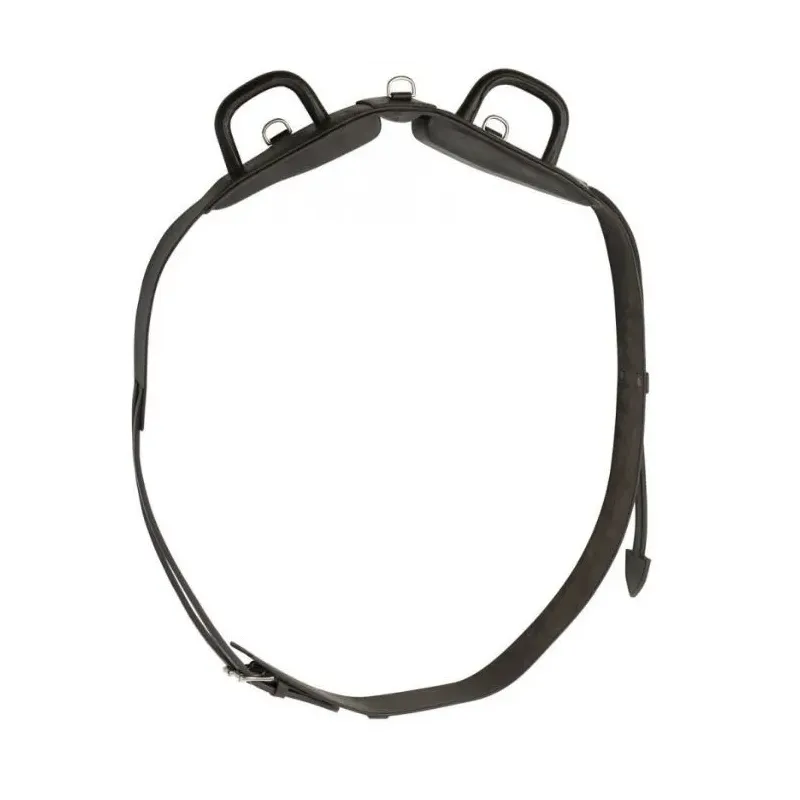 CINCHUELO DE VOLTEO NORTON CLUB CON ASAS CERRADAS