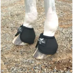 CAMPANA PROFESSIONALS CHOICE