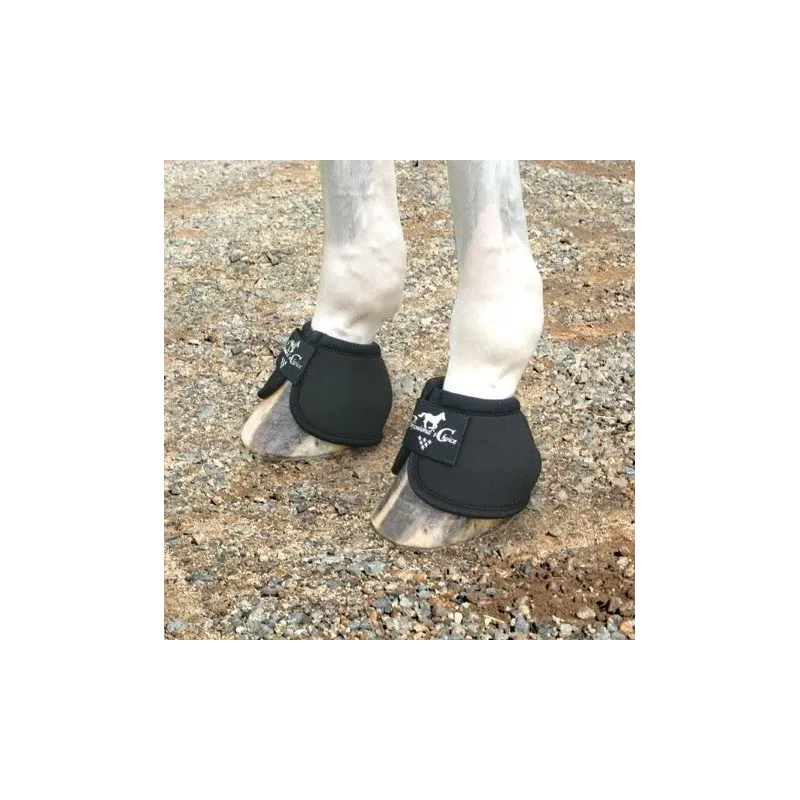 CAMPANA PROFESSIONALS CHOICE