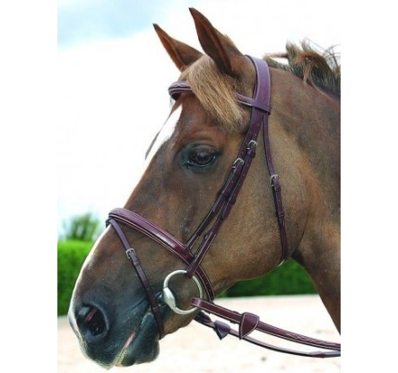 B191 WO FLASH NOSEBAND BRIDLE BR