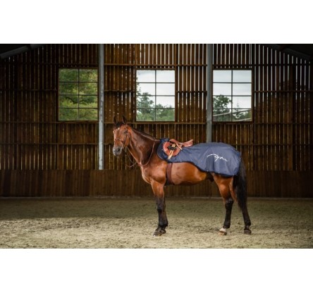 MANTA RIÑONERA 3 EN 1 DYON