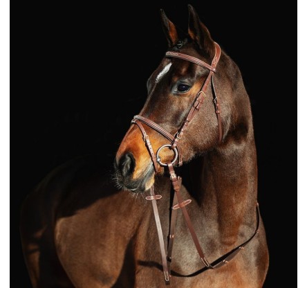 10040 CONSTANCE PADDED FLASH BRIDDLE HORZE