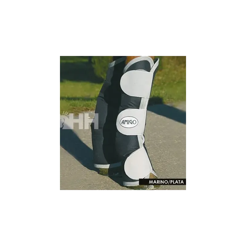 PROTECTORES TRANSPORTE AMIGO