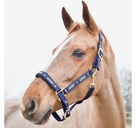 CABEZADAS DE CUADRA HORZE