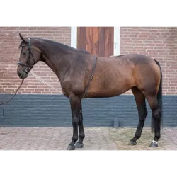 LUNGING REIN SOFT PARA DAR CUERDA