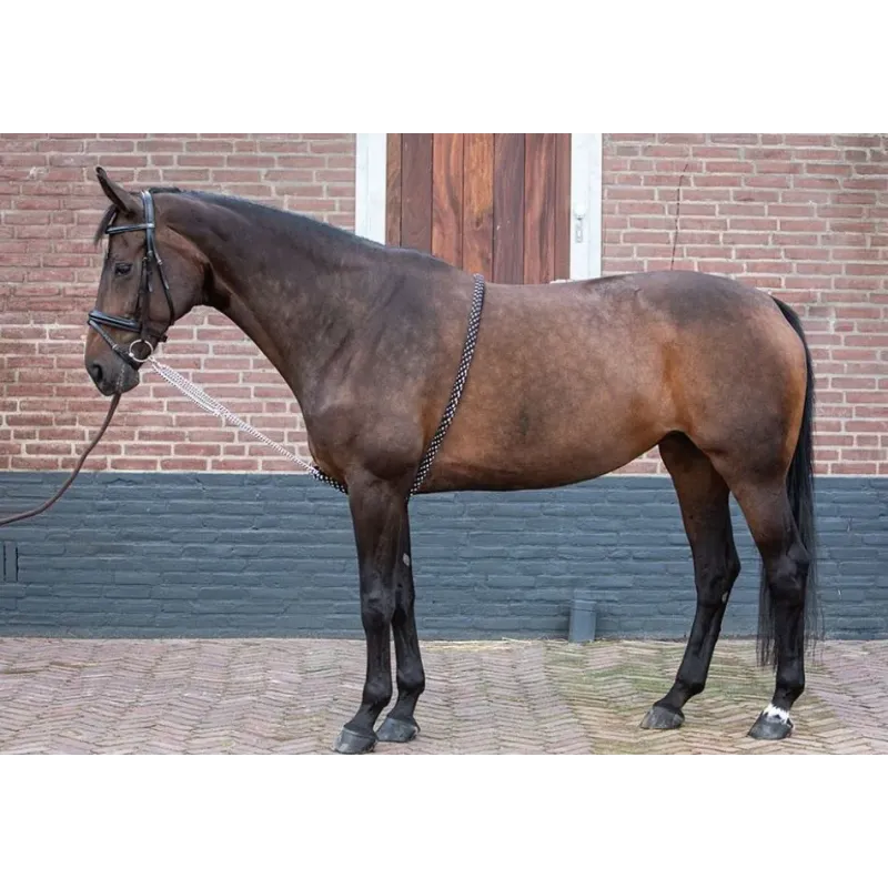 LUNGING REIN SOFT PARA DAR CUERDA