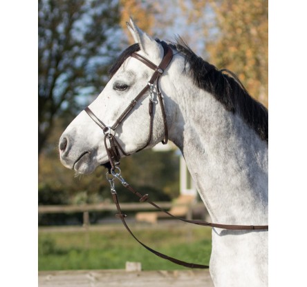 CABEZADA BITLESS CETO