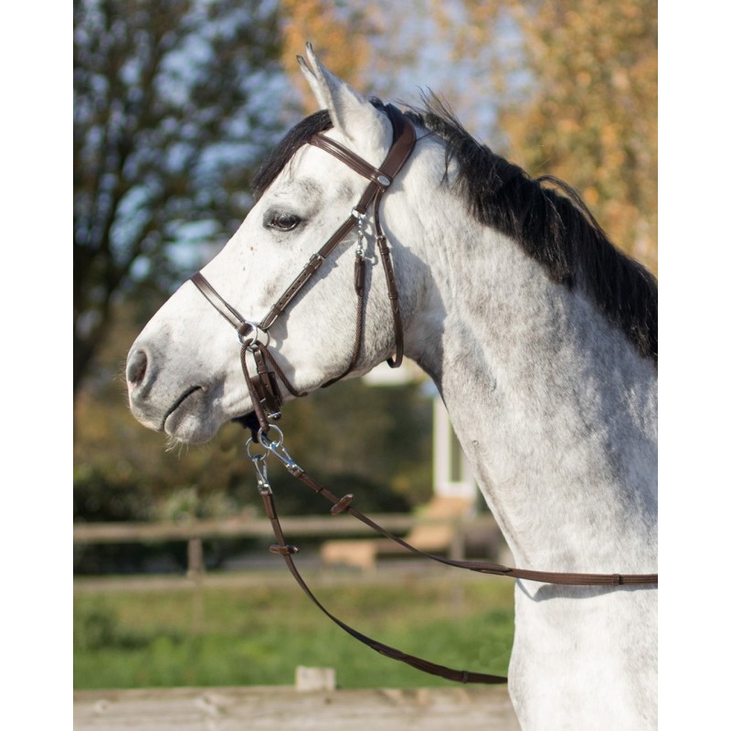 CABEZADA BITLESS CETO