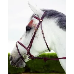 CABEZADAS DE MONTAR B101 EN BRIDLE FLASH NOSE BROWN