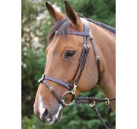 CABEZADAS DE MONTAR DYON MODELO B162