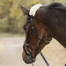 PROTECTOR DE BORREGUITO NATURAL