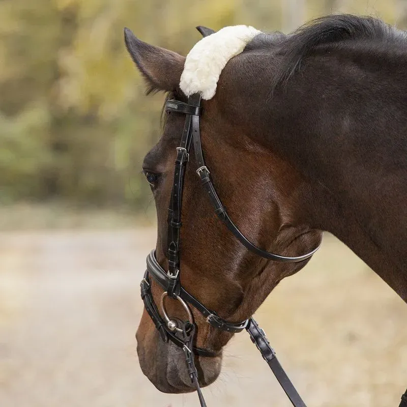 PROTECTOR DE BORREGUITO NATURAL